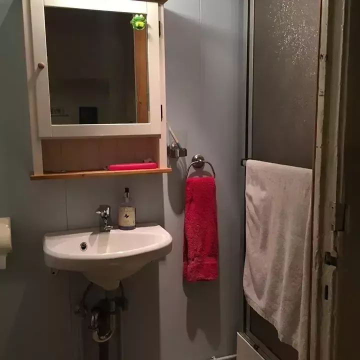 bathroom, image 1 (shower, sink, and cabinet, 2019) / Baðherbergi, mynd 1 (sturta, vaskur og skápur, 2019)