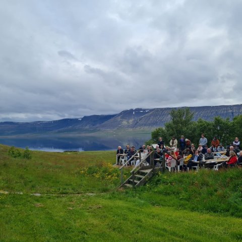 20250617_145637.jpg