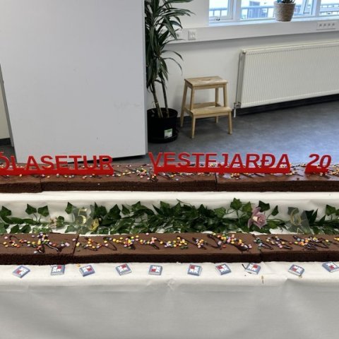 20 metra afmæliskaka