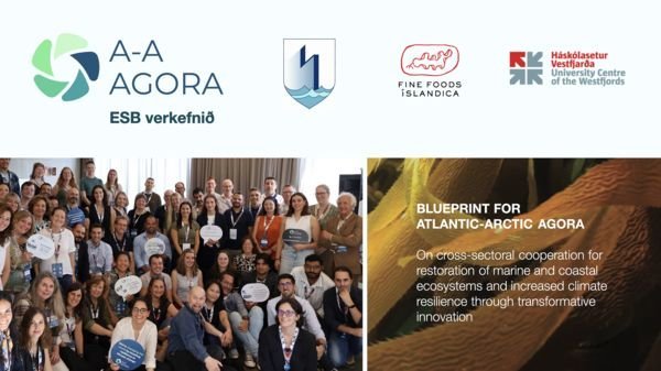 EU Funds UW, Strandabyggð, and Fine Foods for Sustainable Kelp Farming