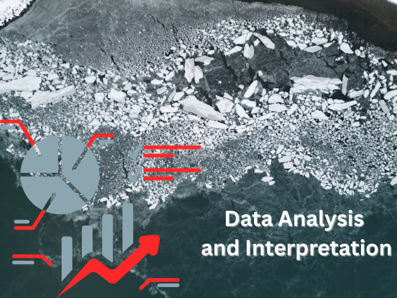 Students Build Skills in Data Analysis and Interpretation