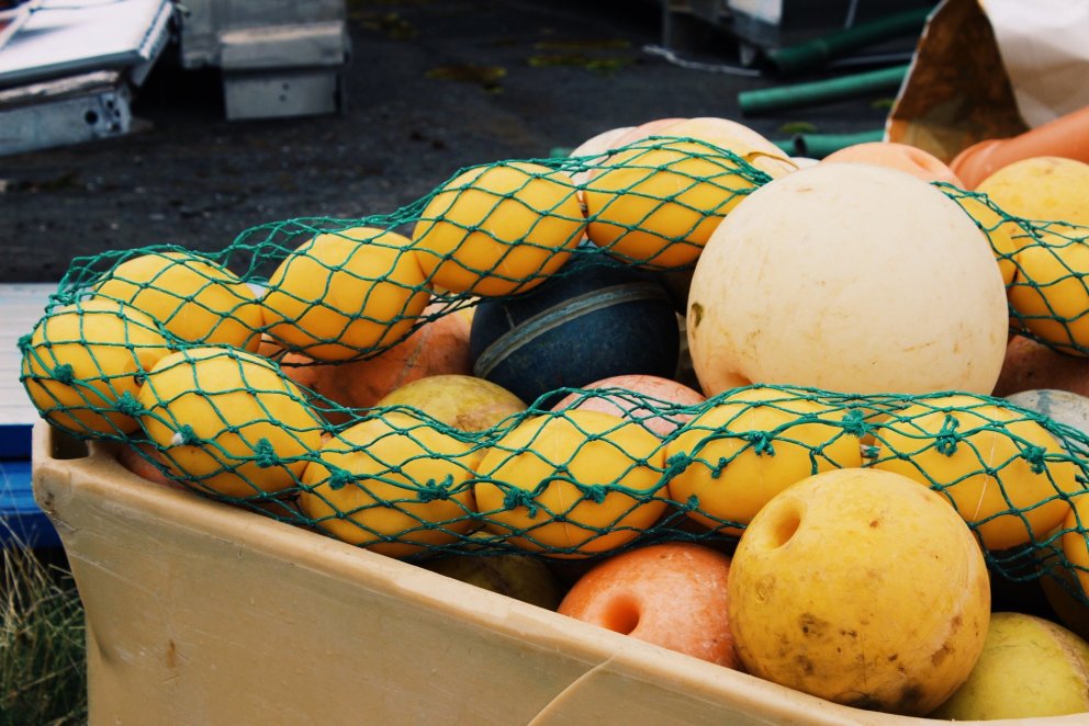 Varnatímabil vorönn 2026