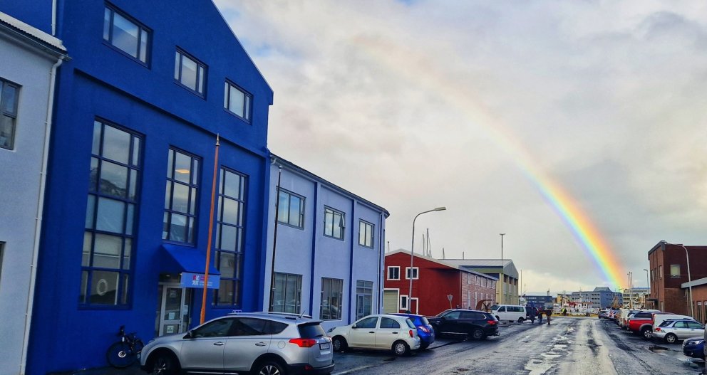 Skemmtiferðaskipin og marhálmur - varnir hefjast á morgun