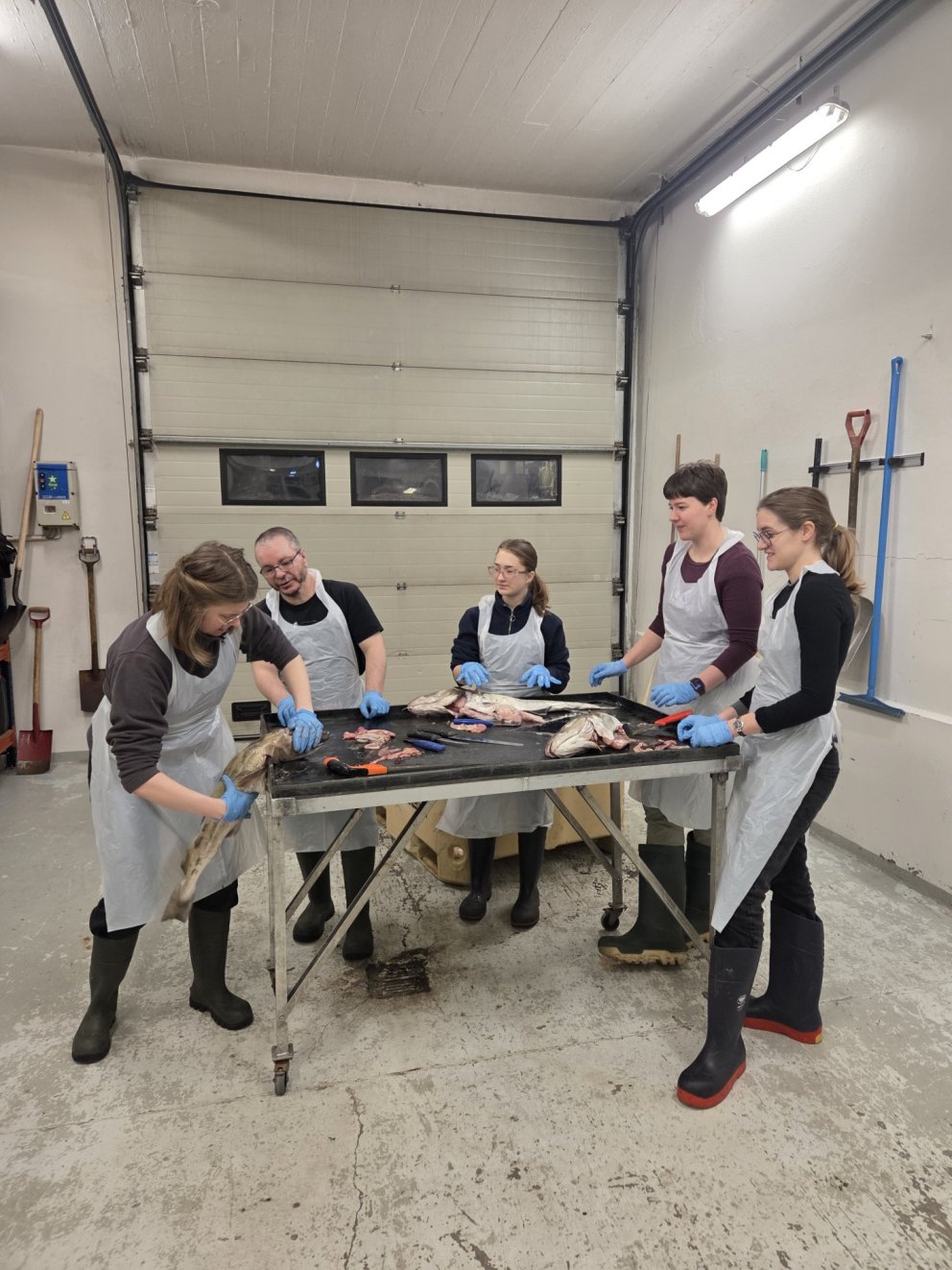 Nemendur læra réttu handtökin