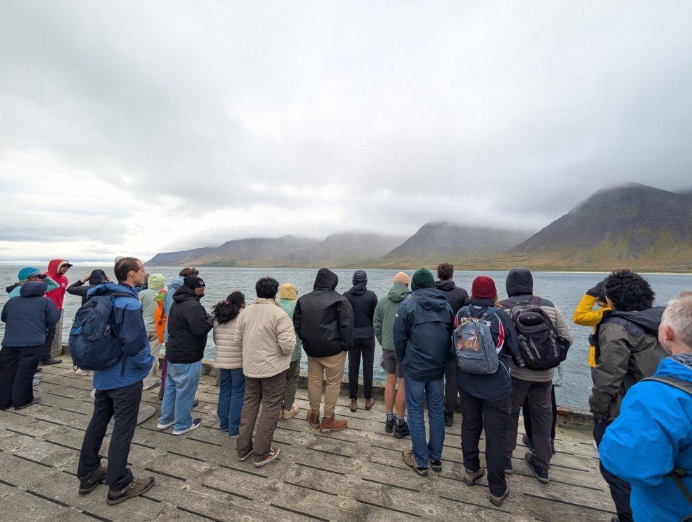 Students watching dolphins putting on a show at the pier in Holt