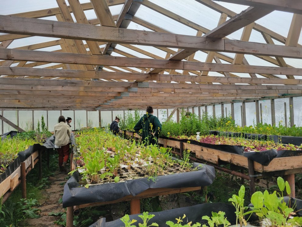 Three UW students receive a grant for thesis research