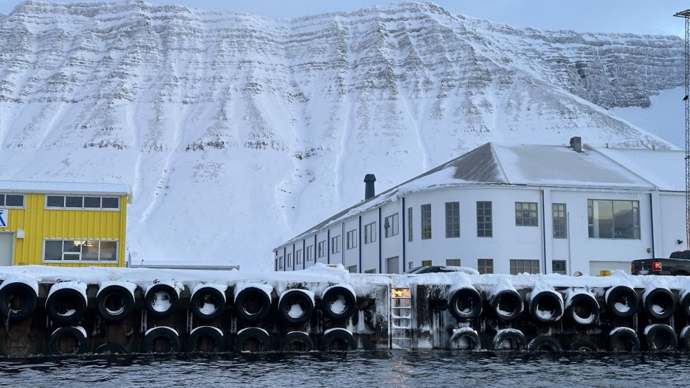 It's thesis defense season!