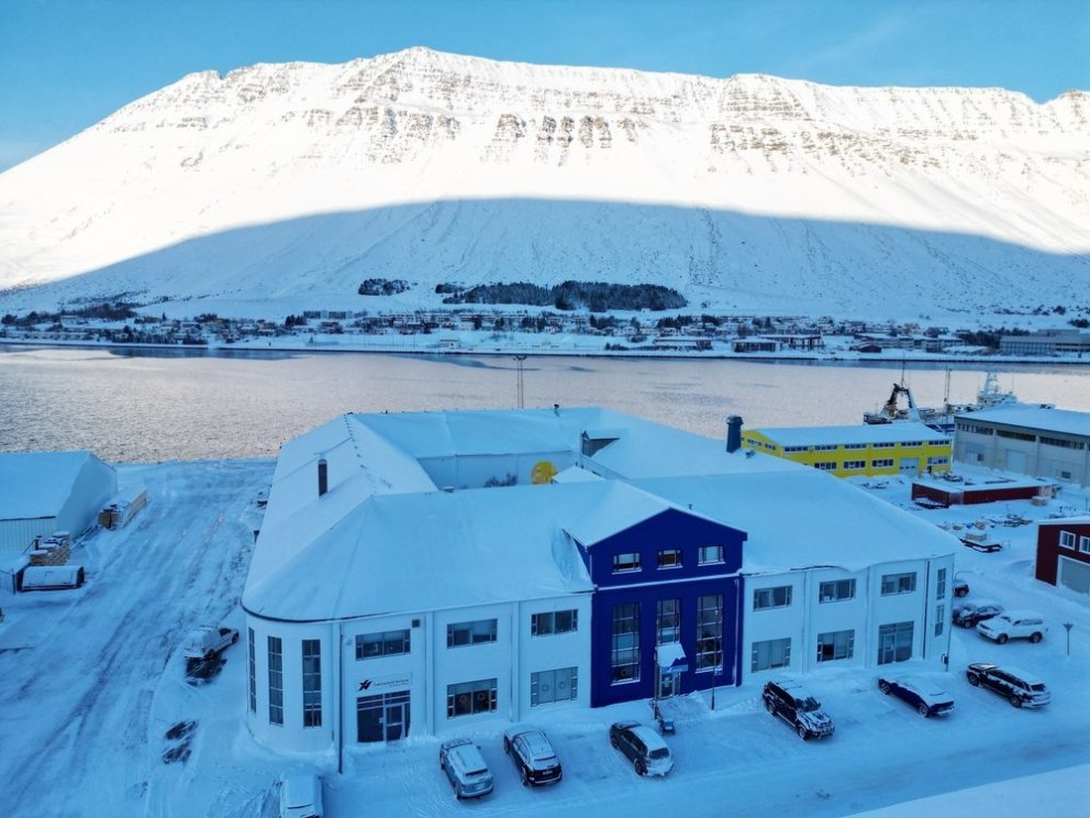 It's thesis defense season