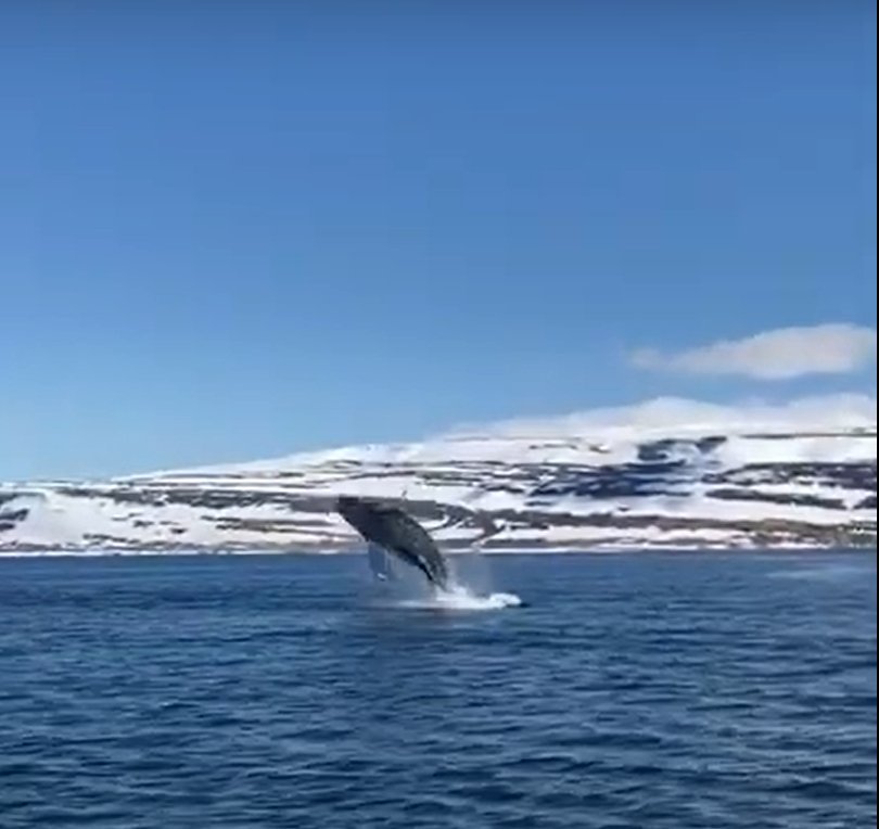 Students' Short Films