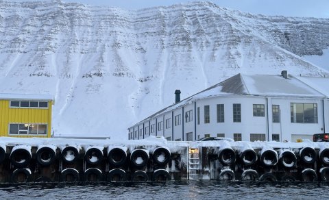 Meistaraprófsvarnir hefjast!