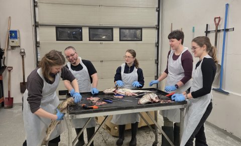 Students learn best practices