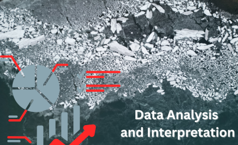 Students Build Skills in Data Analysis and Interpretation