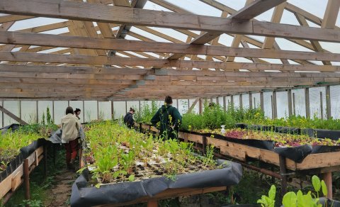 Three UW students receive a grant for thesis research