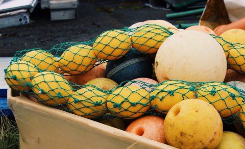 Thesis defense season: spring 2026